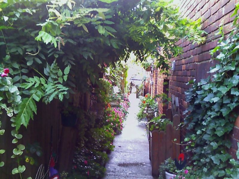 Yard Landscaping Pictures & Ideas: MY Bliss